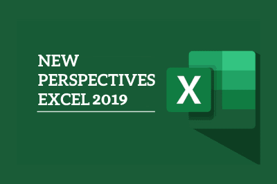 new perspective excel 2019